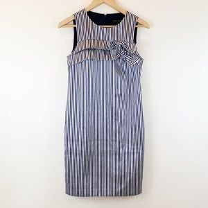 Banana Republic Pin Striped Dress